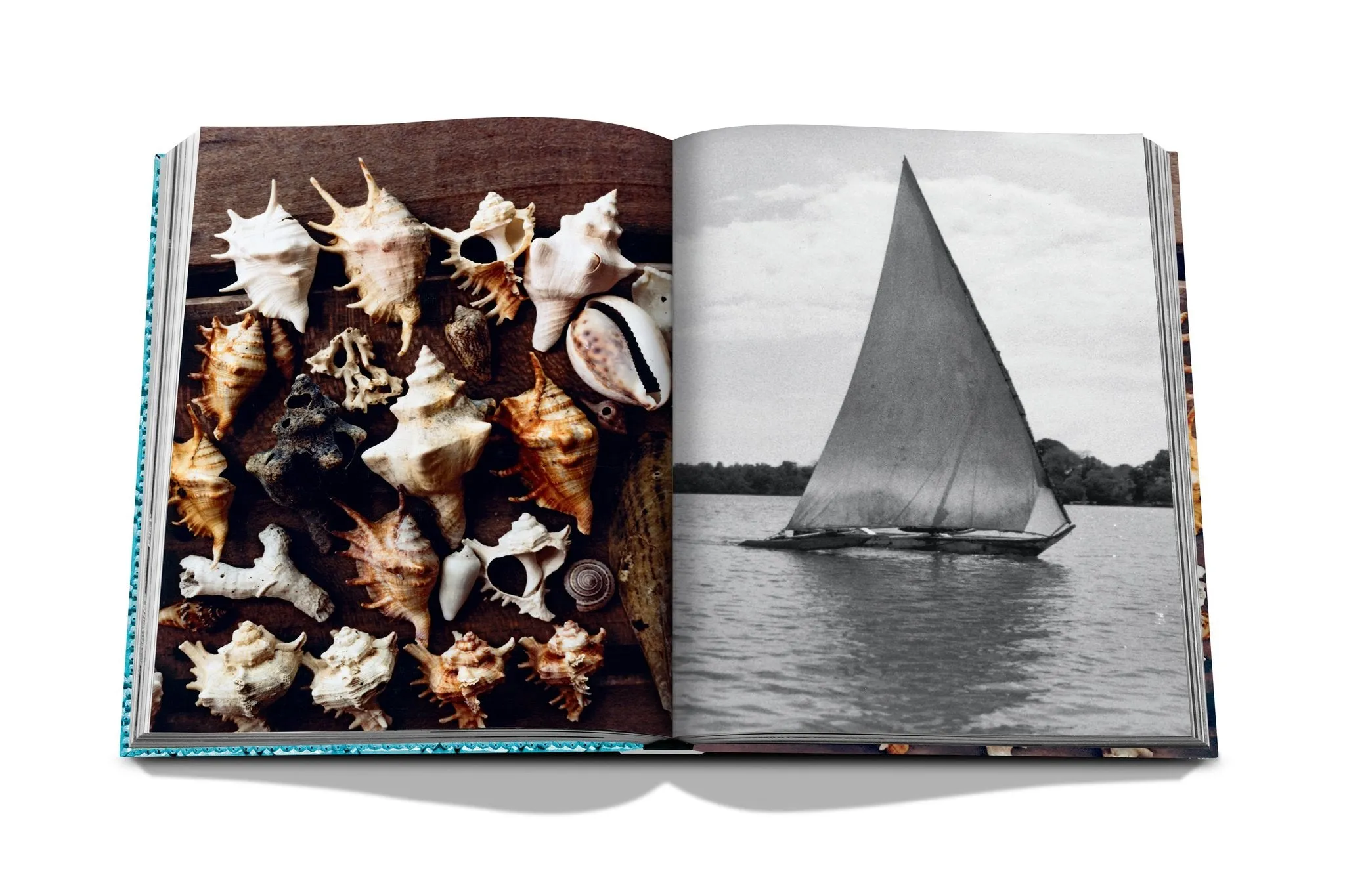 ASSOULINE Zanzibar Hardcover Book by Aline Coquelle