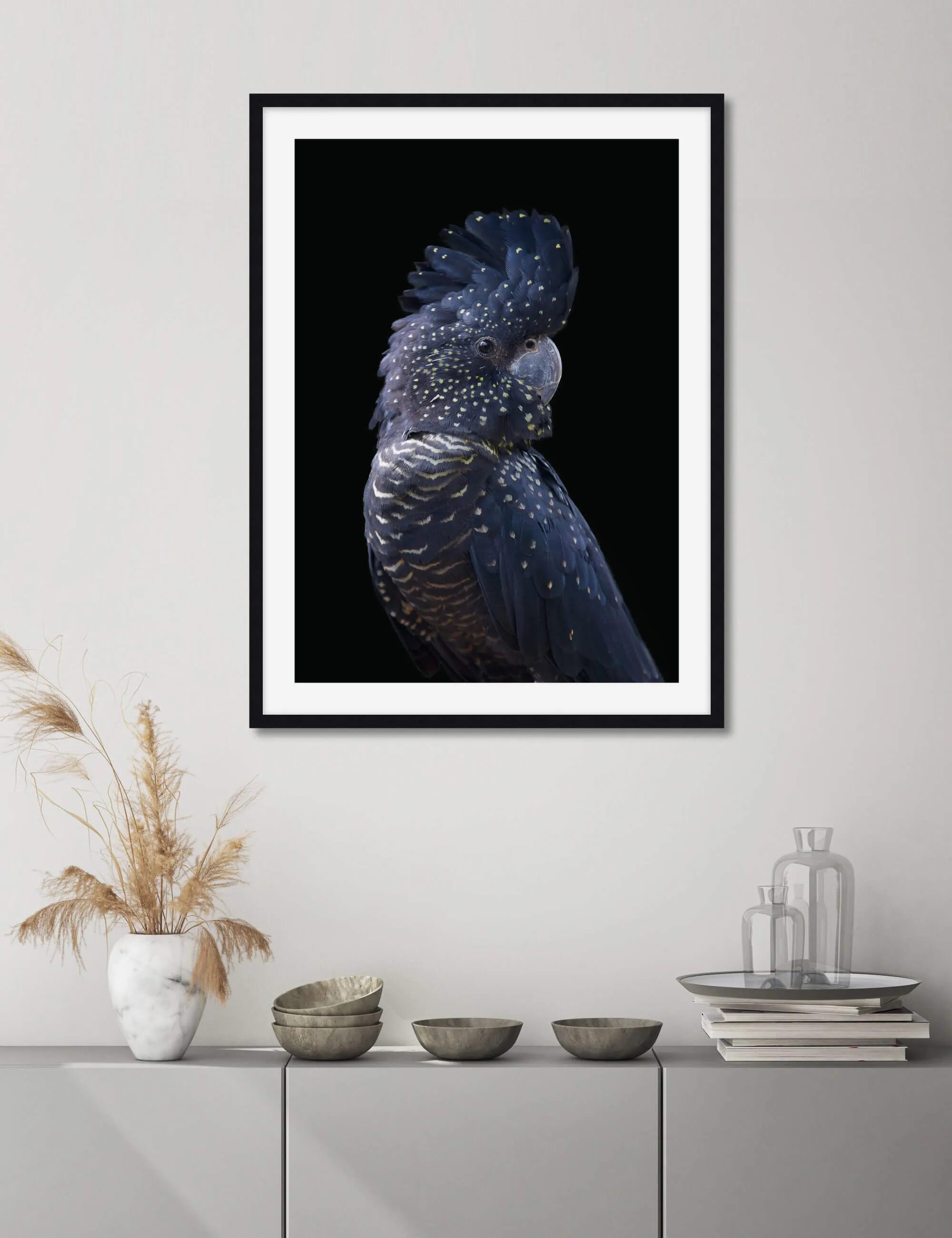 Blue Cockatoo